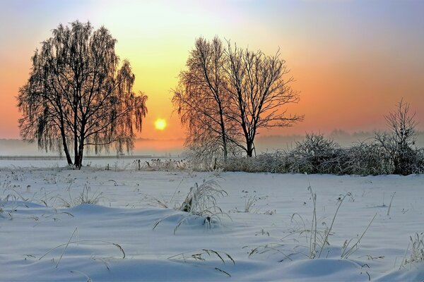 Winter field and the sun is setting