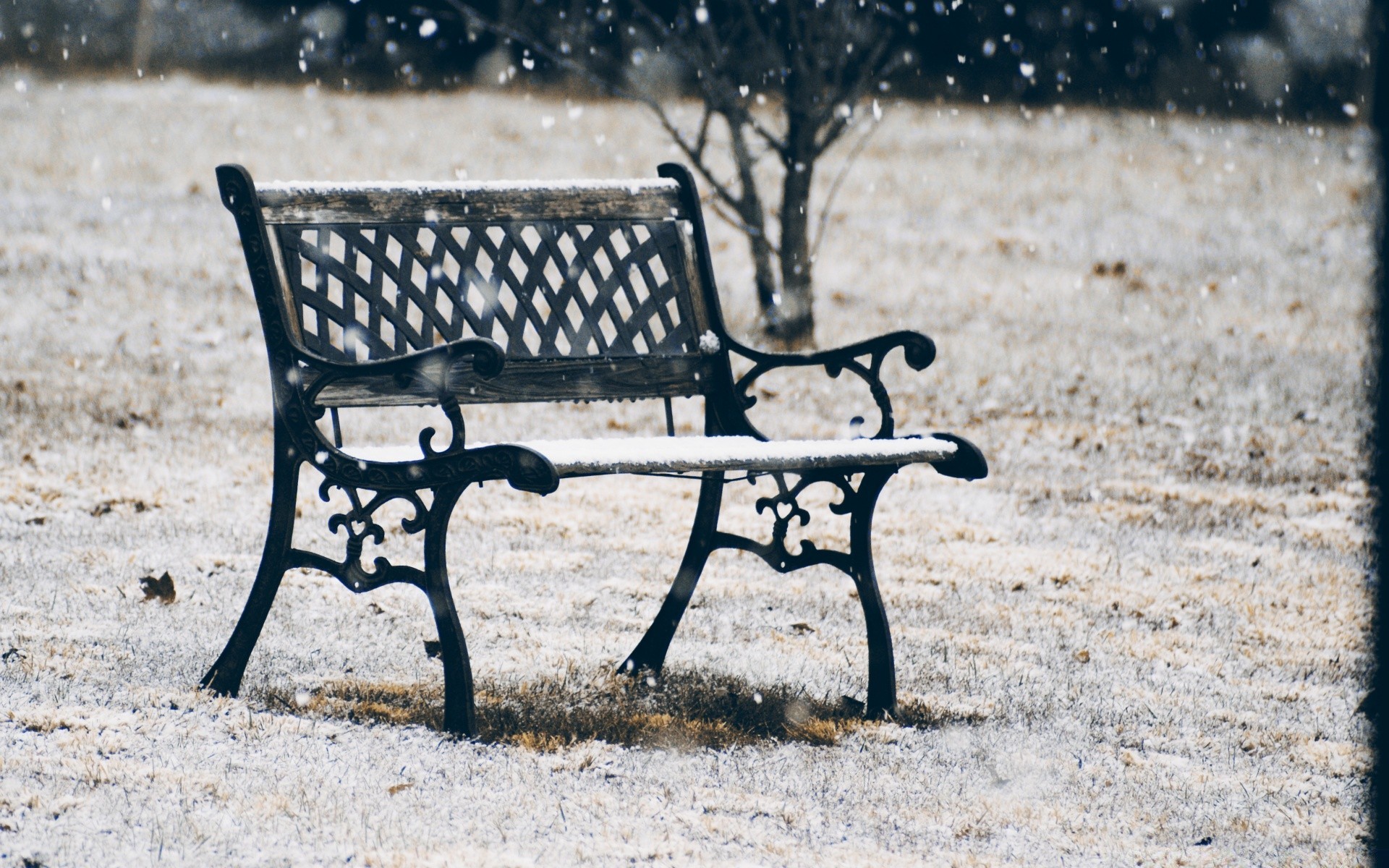 winter bench seat wood wooden park chair outside nature empty rest cart outdoors single garden color