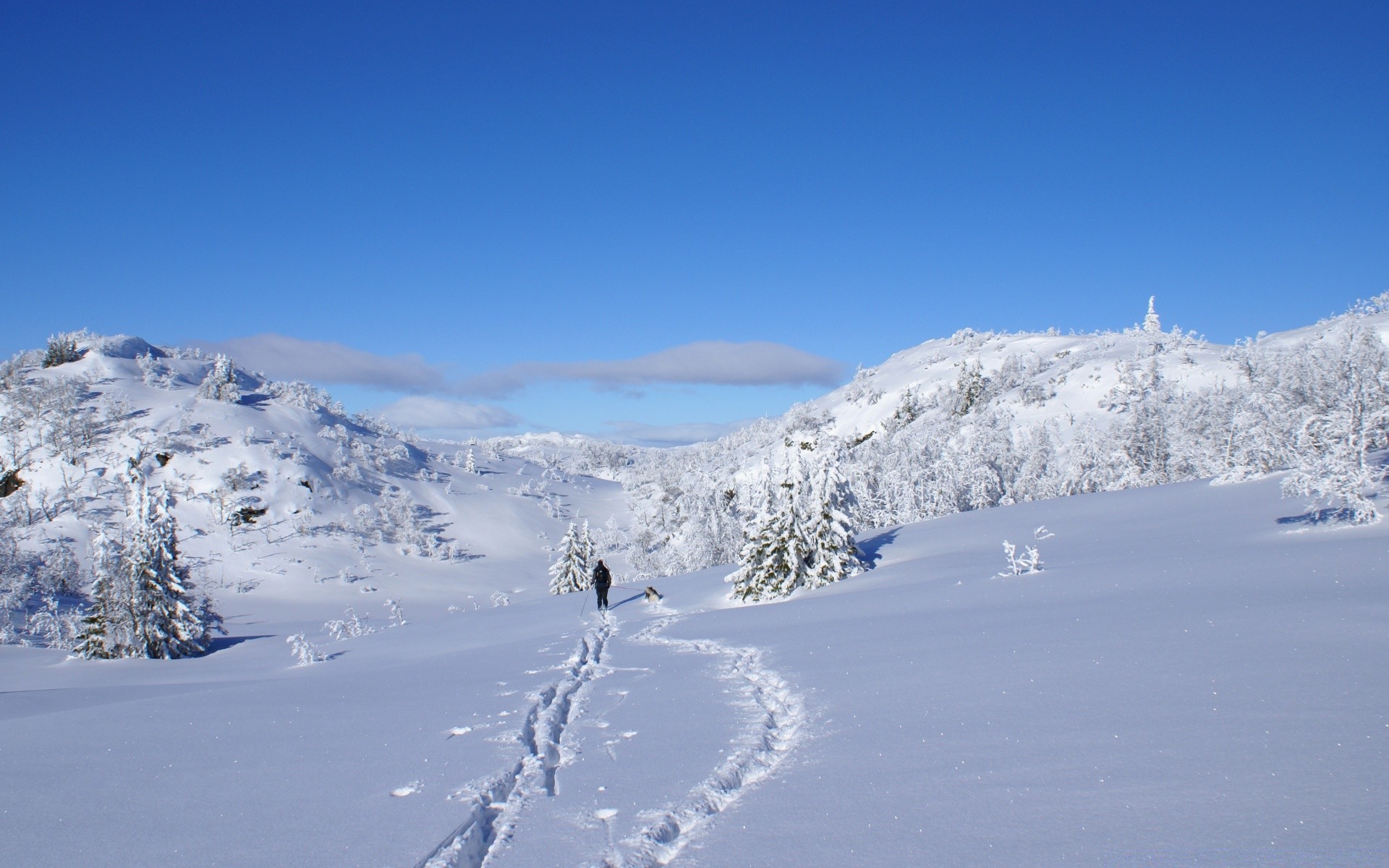 hiver neige froid montagnes glace pic de montagne station scénique neigeux paysage gel