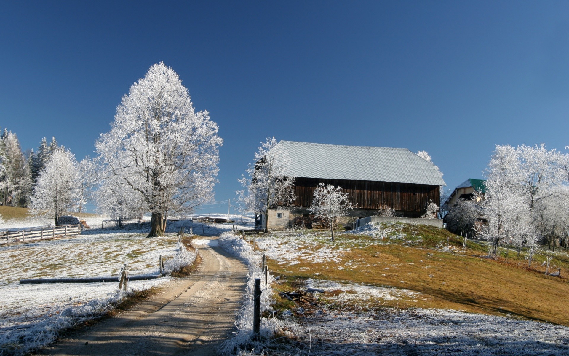 inverno neve natura cielo paesaggio legno freddo all aperto albero ghiaccio acqua viaggi congelato gelo casa meteo