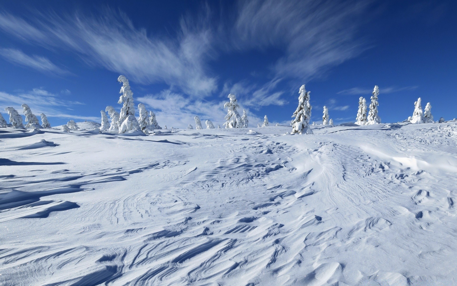 zima śnieg zimne góry górski szczyt lód mróz mrożony proszek kurort snowboard sezon krajobraz wzgórze alpejski sceniczny tor stok śnieżna pogoda