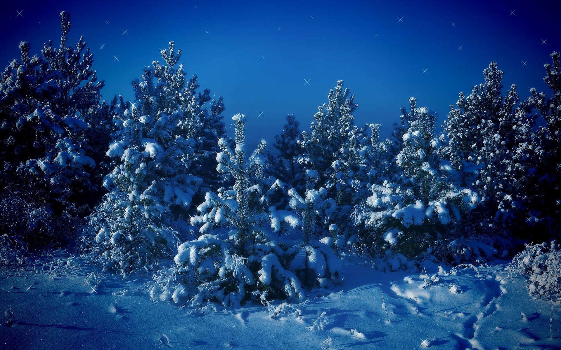 winter underwater cold snow nature frost clear christmas frozen weather water scenic