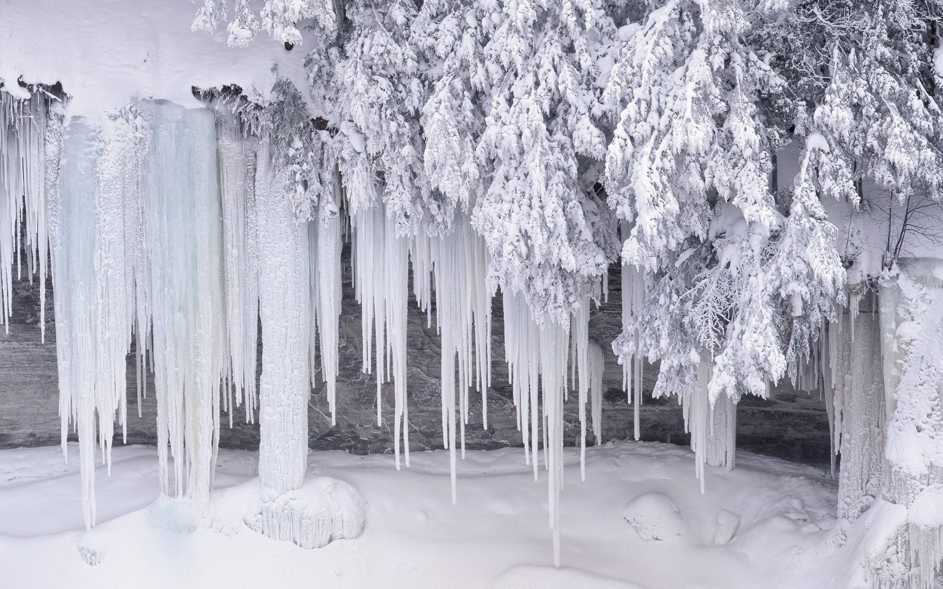 winter icicle snow frozen frost ice icy cold frosty season tree landscape weather nature wood crystal