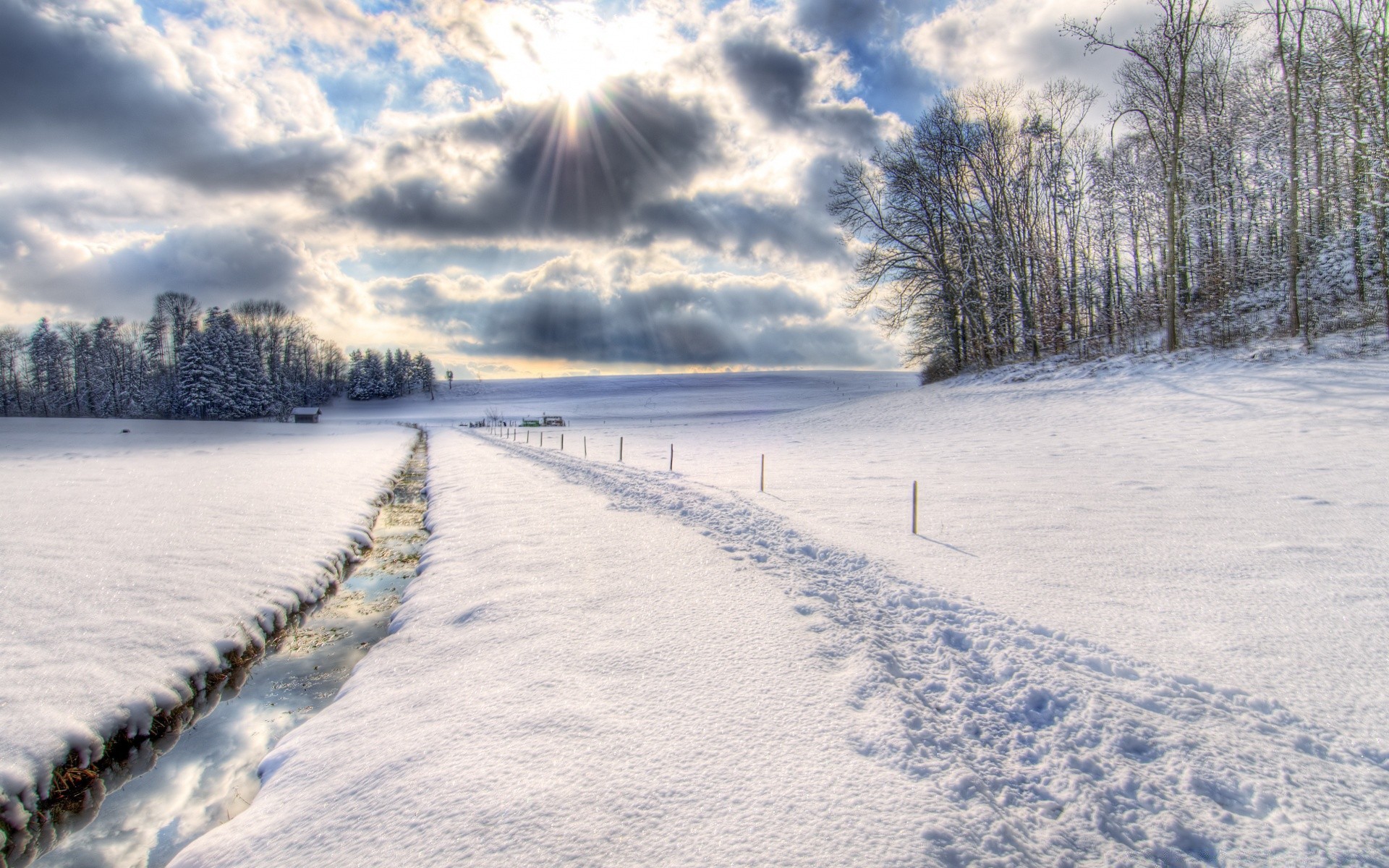 inverno neve freddo congelato meteo paesaggio gelo ghiaccio natura albero stagione scenic legno all aperto acqua bel tempo strada