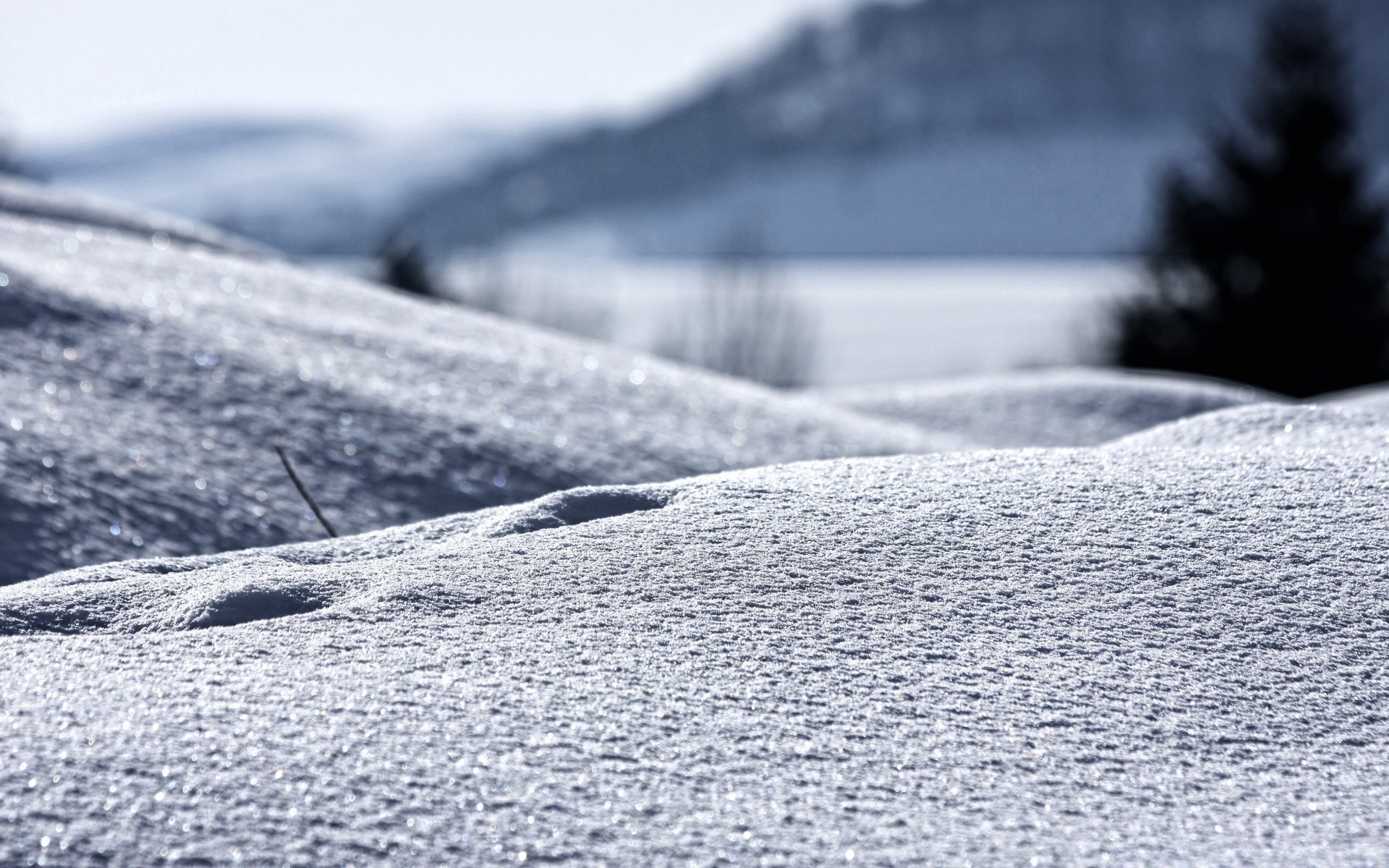 hiver neige glace froid nature congelé gel paysage eau à l extérieur voyage glacial givré