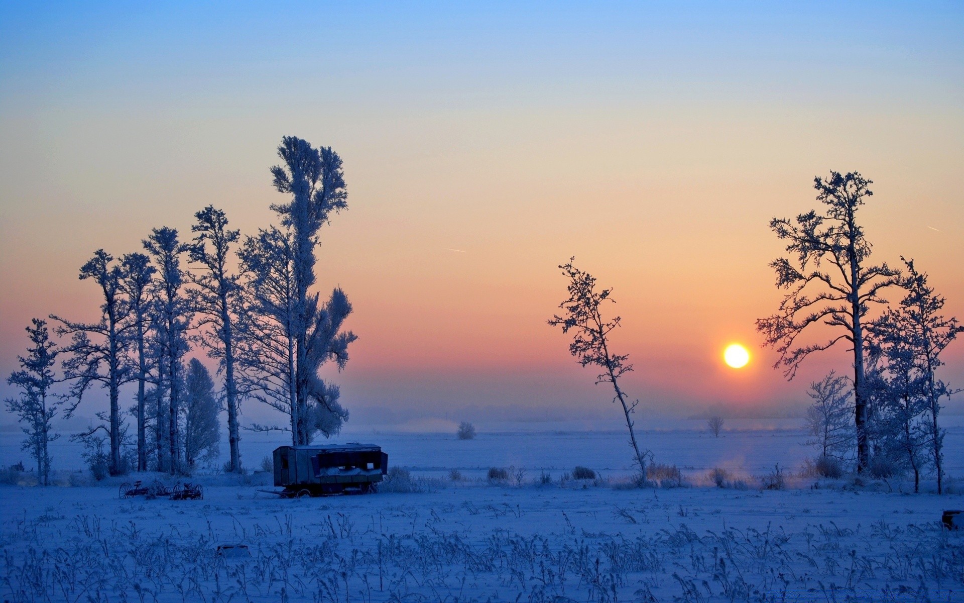 invierno nieve árbol paisaje escarcha amanecer tiempo congelado naturaleza frío puesta de sol madera niebla temporada noche al aire libre cielo hielo buen tiempo