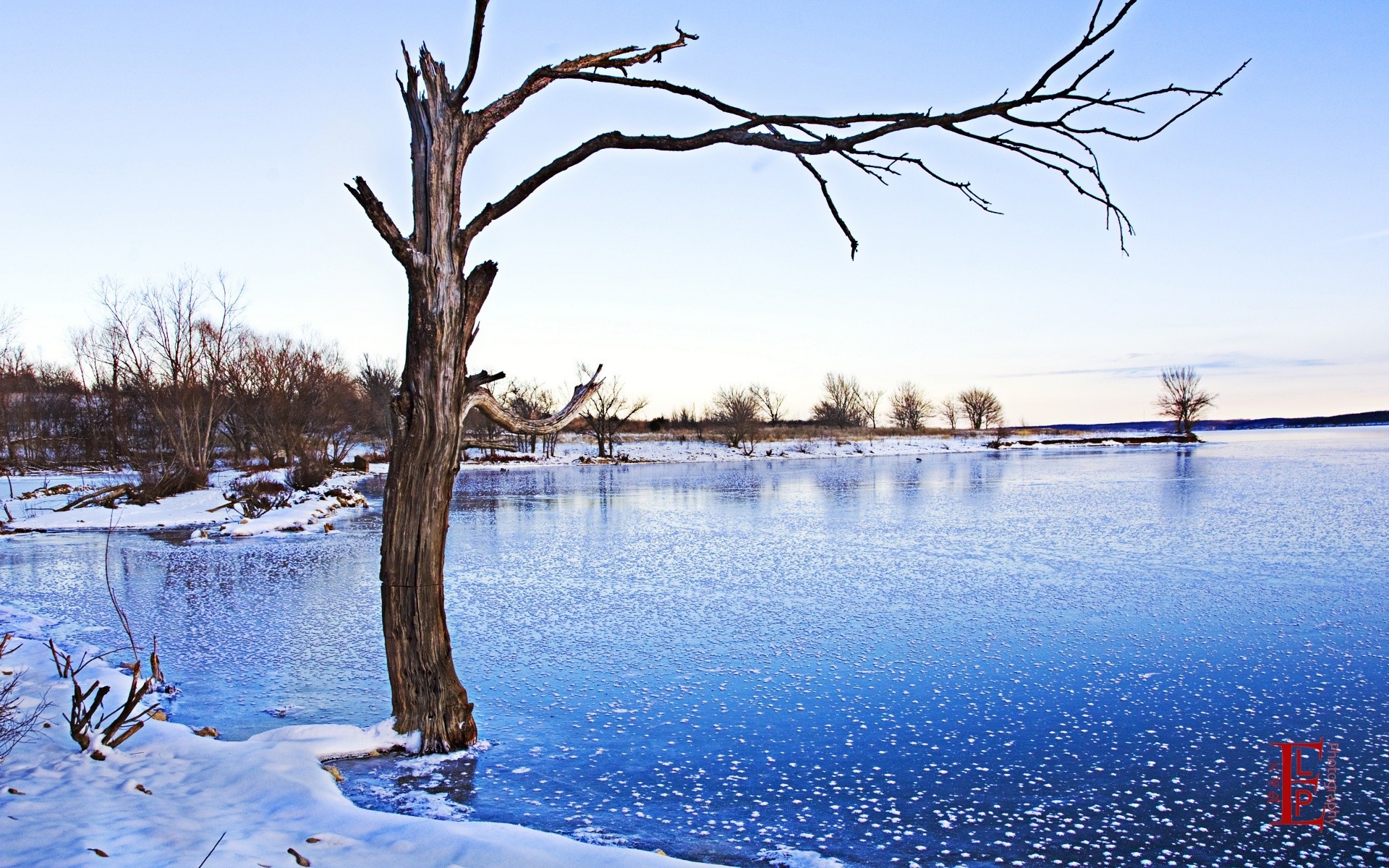 winter snow tree water cold nature outdoors ice frost wood landscape lake frozen travel sky dawn composure