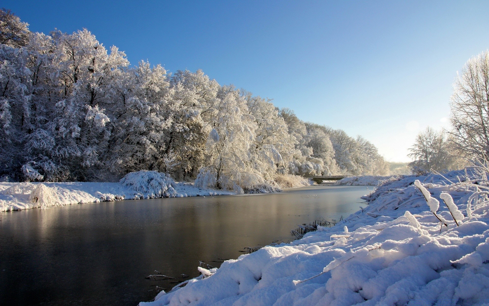 hiver neige glace froid gel congelé paysage bois bois scénique nature eau givré montagnes en plein air météo