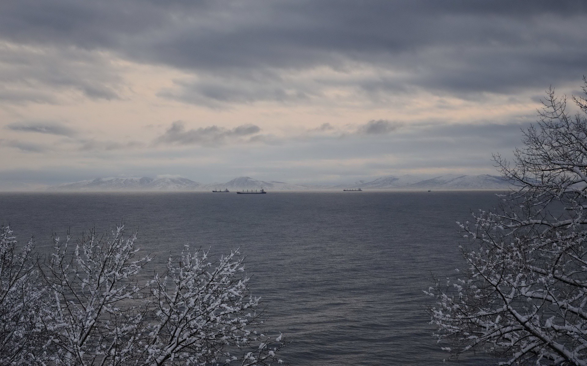 hiver paysage nature eau arbre ciel temps froid brouillard neige gel à l extérieur lac congelé aube bureau mer saison