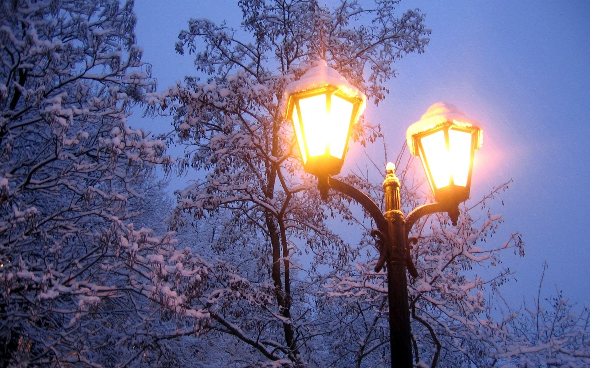 inverno lâmpada lanterna brilhante luz neve temporada árvore luz de fundo eletricidade ramo lâmpada natureza céu vela noite ao ar livre