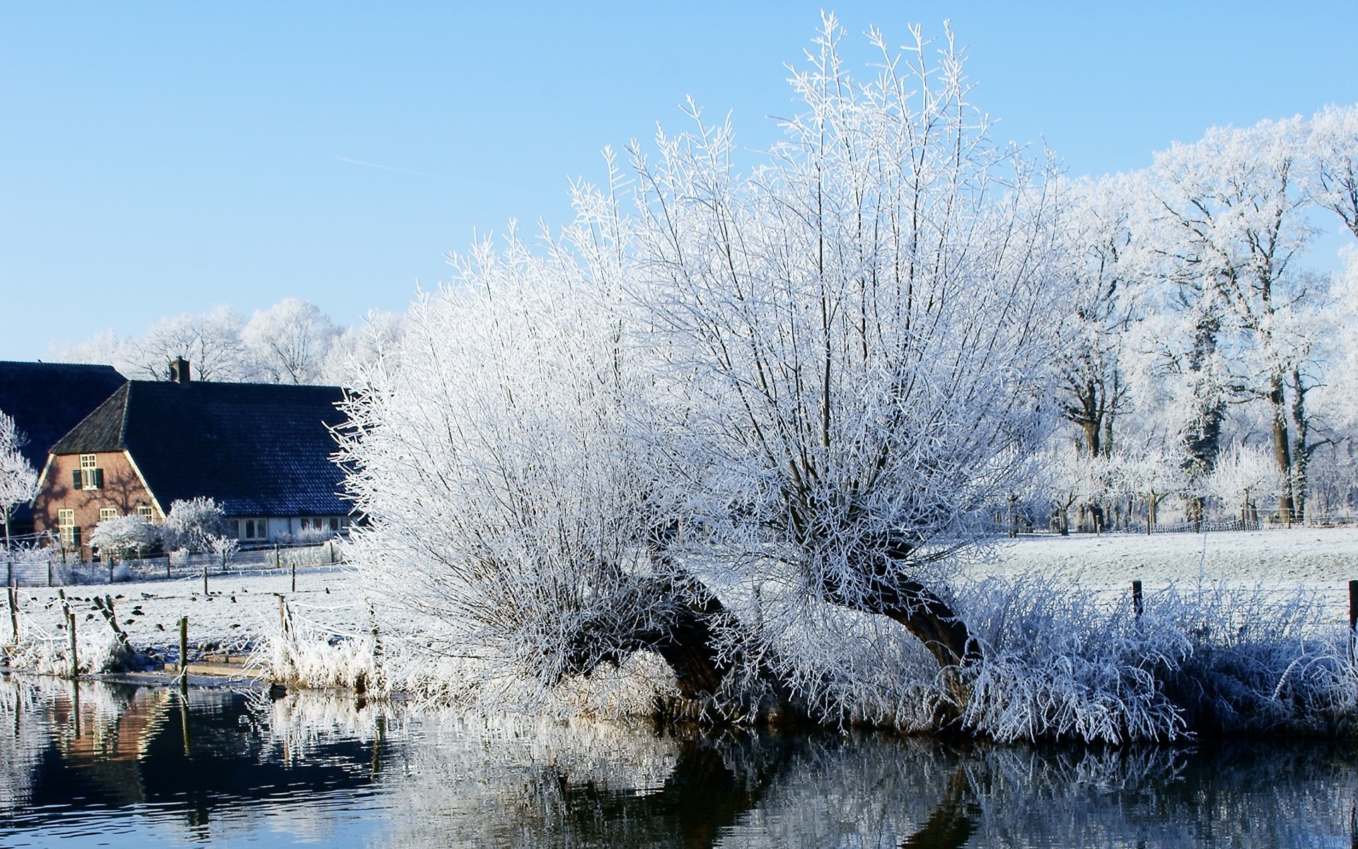 hiver neige congelé gel froid bois bois paysage glace nature saison en plein air météo eau