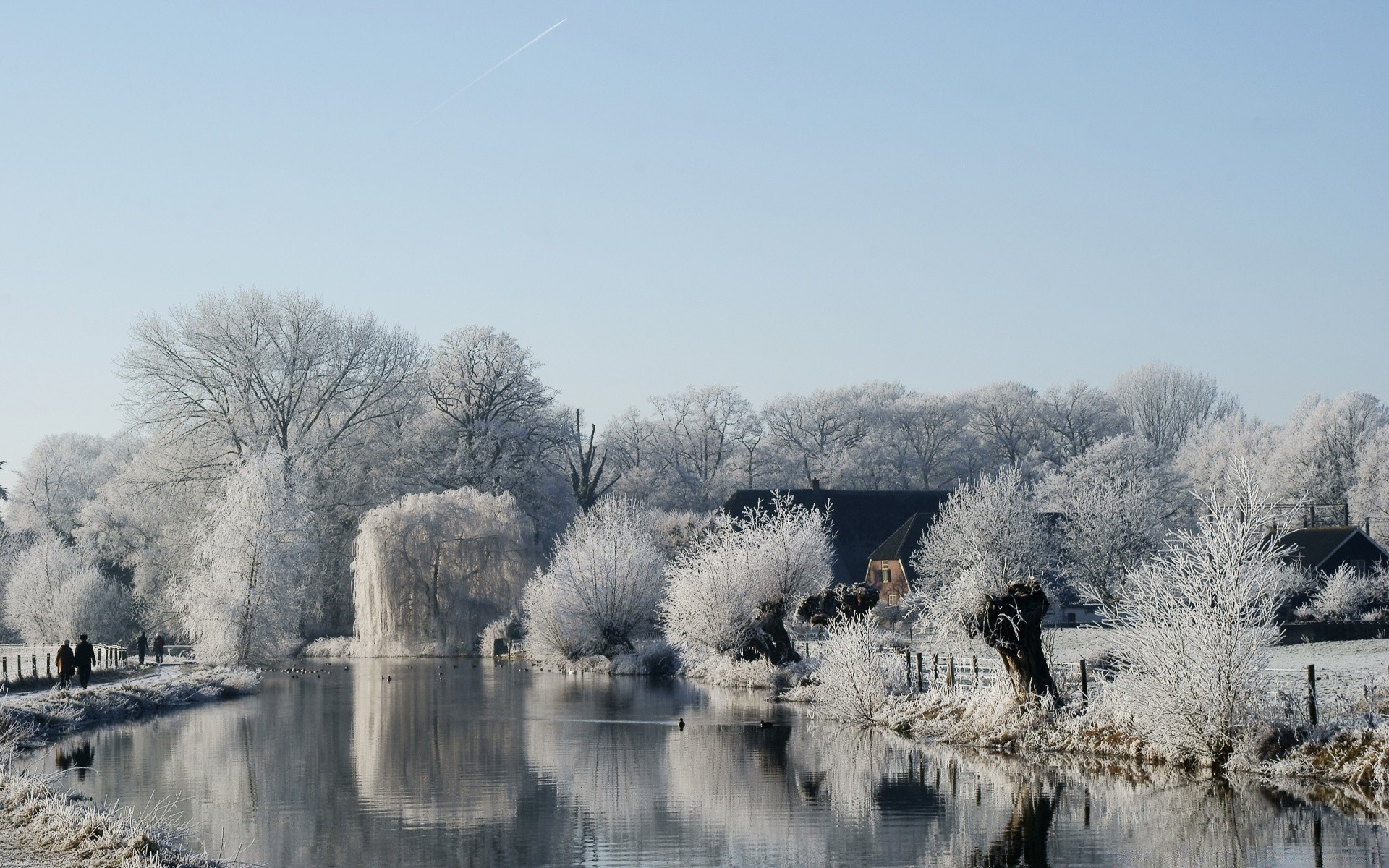 hiver neige gel froid bois congelé brouillard glace bois paysage nature météo saison en plein air