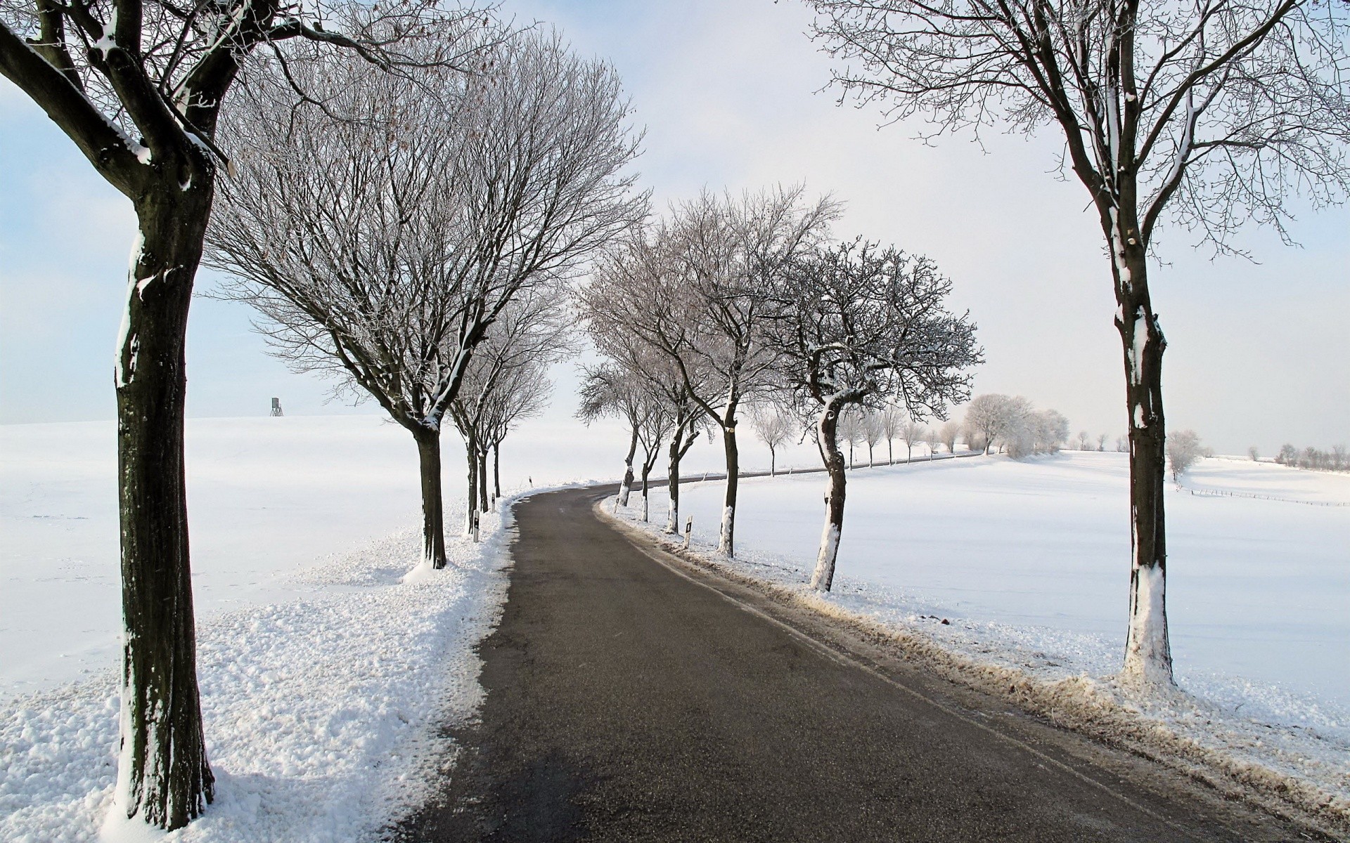 winter snow cold frost tree frozen landscape ice weather season wood branch snowstorm fog scenic road snow-white nature lane frosty