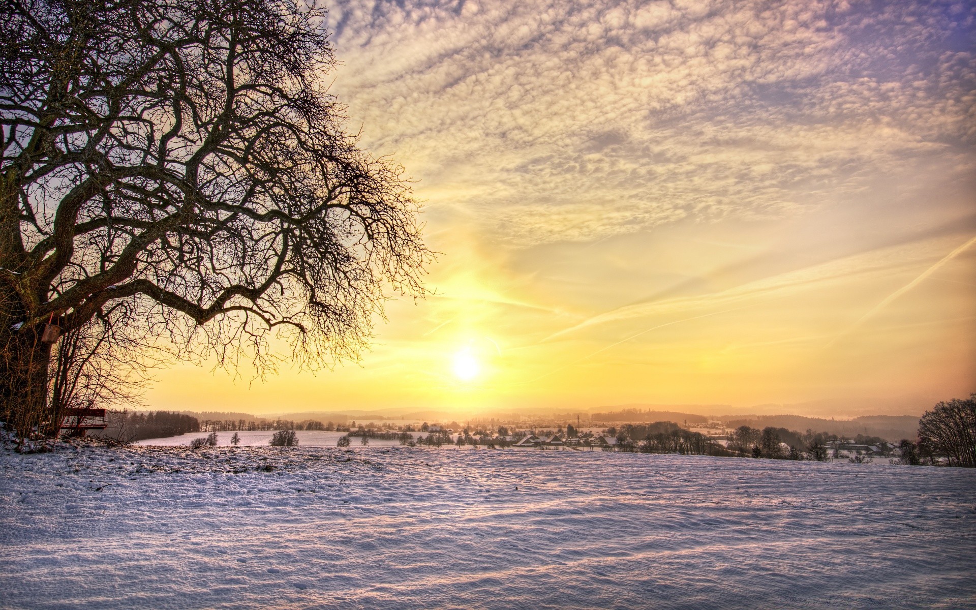 inverno paesaggio alba tramonto albero natura acqua sole cielo sera lago riflessione crepuscolo luce silhouette bel tempo all aperto