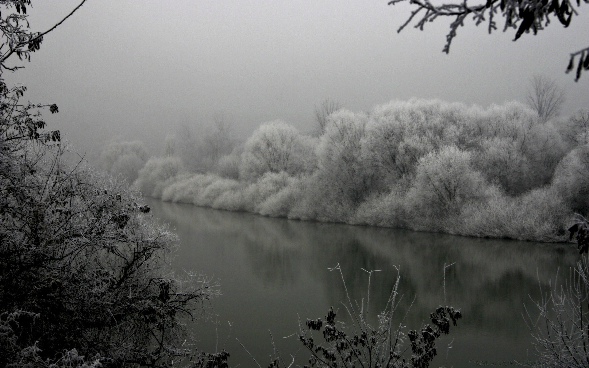 winter baum landschaft nebel nebel dämmerung monochrom natur himmel wetter im freien sonnenuntergang see herbst holz wasser licht schnee silhouette