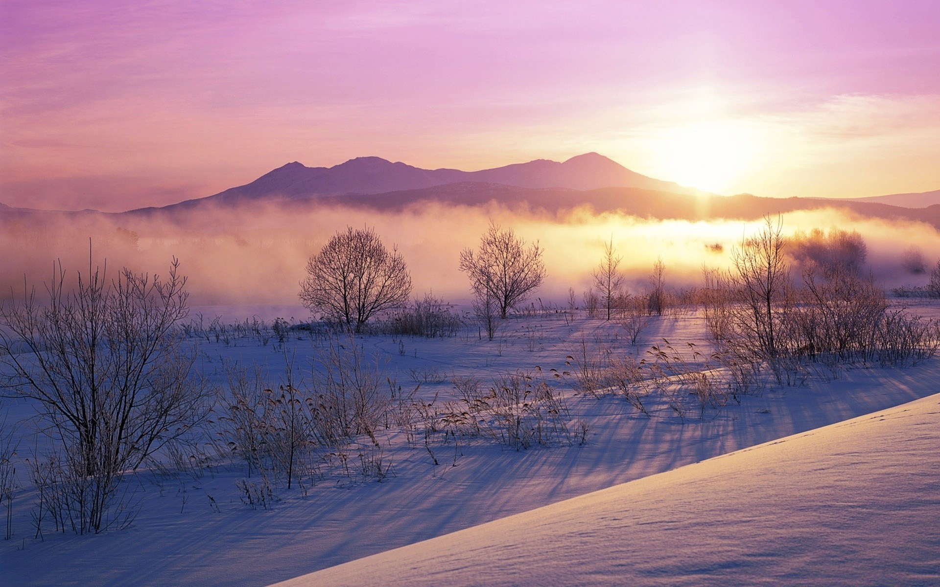 hiver aube paysage coucher de soleil nature neige brouillard bois froid beau temps soir ciel à l extérieur météo brouillard soleil automne bois gel