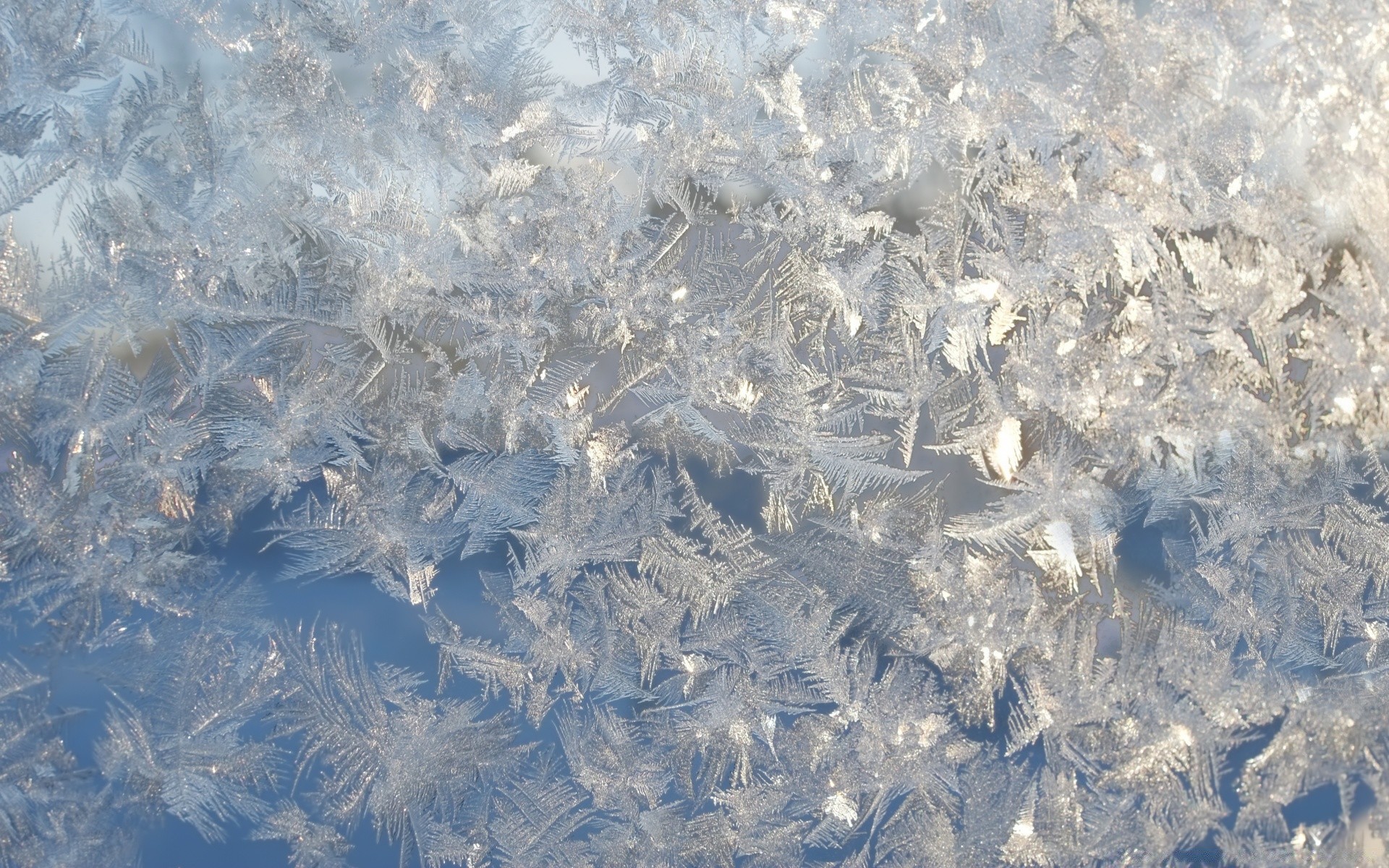 invierno escritorio escarcha frío textura hielo escarchado patrón abstracto cristal helado congelado superficie naturaleza nieve tela luz