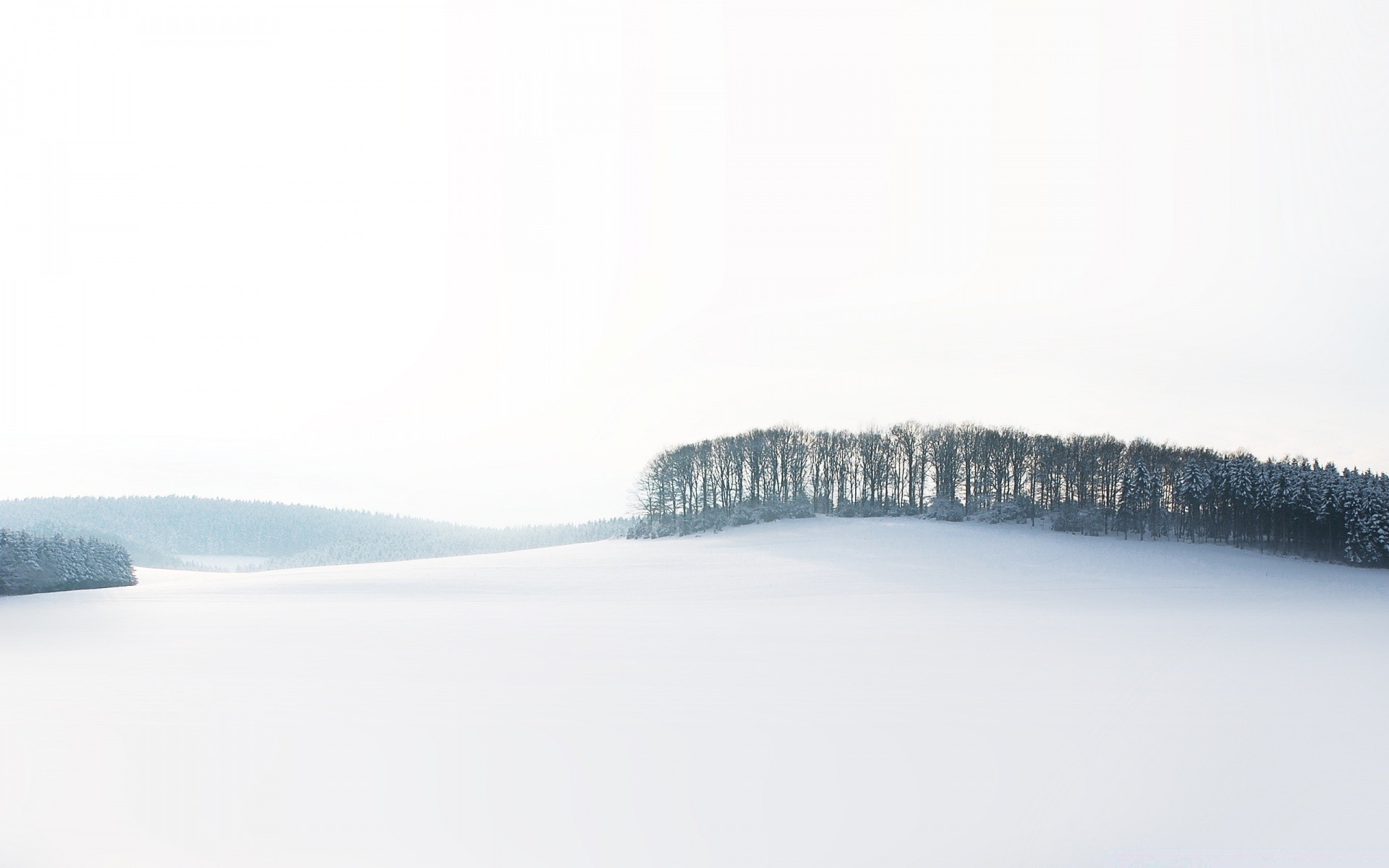 inverno neve paisagem frio congelado gelo