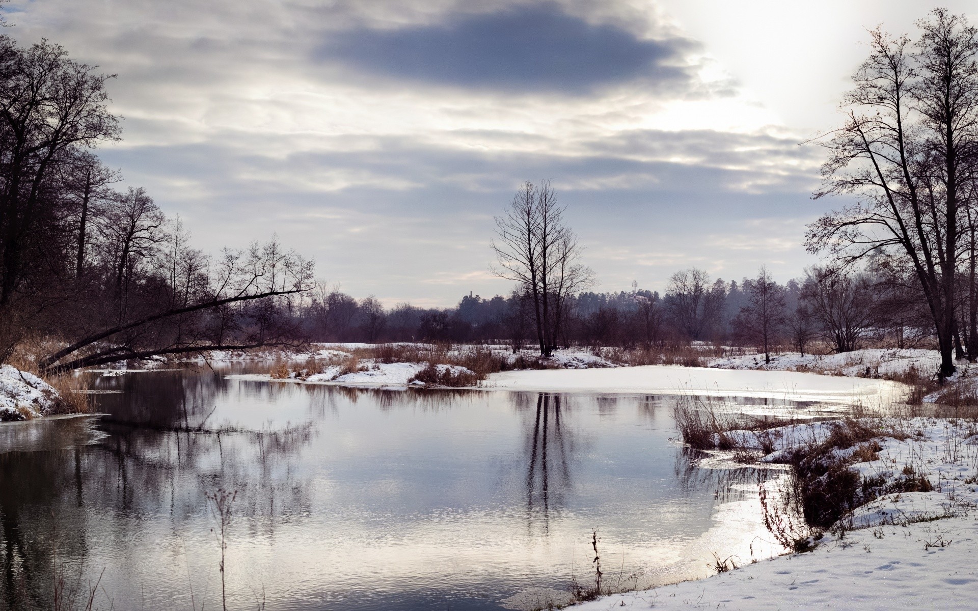 winter nature tree landscape water dawn cold wood snow lake reflection weather outdoors river sky frost composure season ice