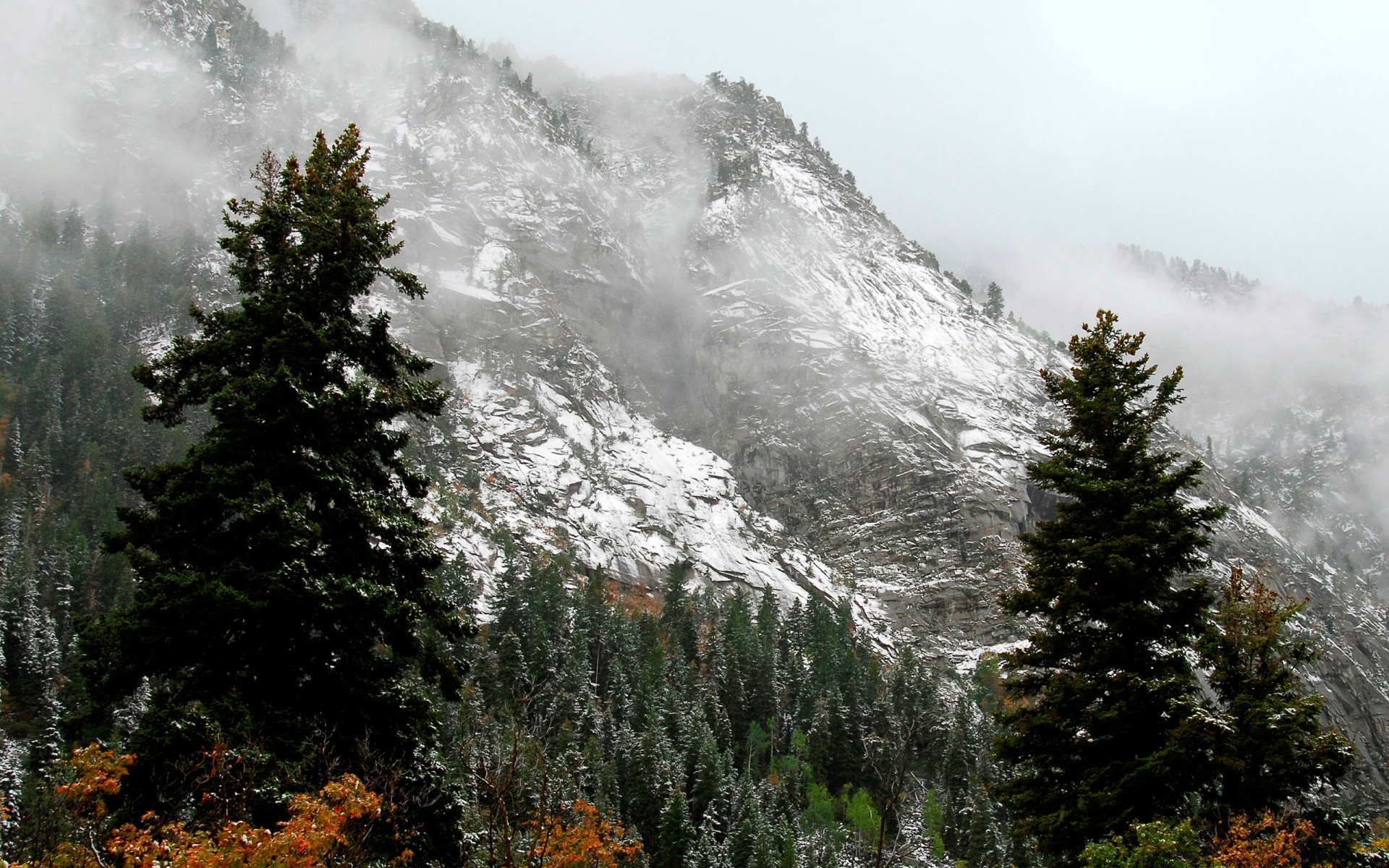 winter landscape tree mountain snow wood outdoors fog evergreen conifer nature scenic travel sky mist