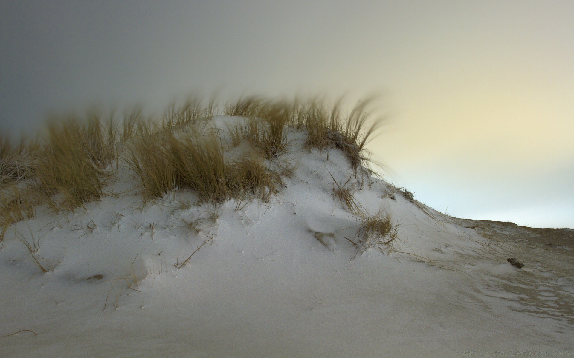 hiver neige paysage brouillard météo coucher de soleil froid plage nature glace tempête ciel à l extérieur arbre aube brouillard lumière lumière du jour voyage