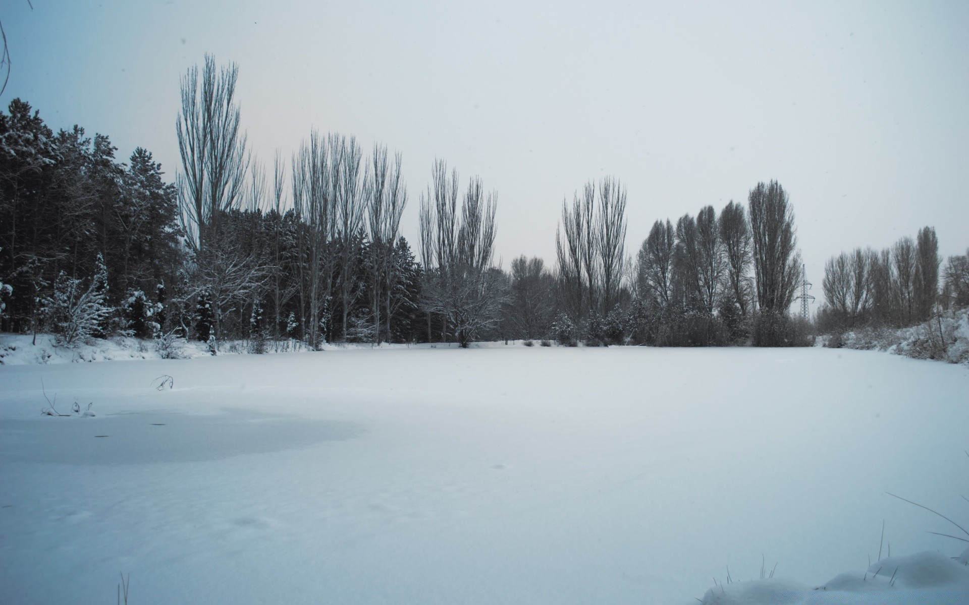 winter snow landscape cold tree weather fog ice wood frost frozen outdoors mist nature