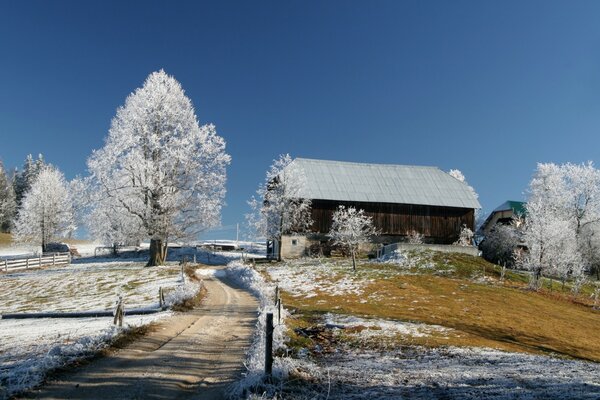 Winterhaus auf einer Wiese mit schneebedeckten Bäumen