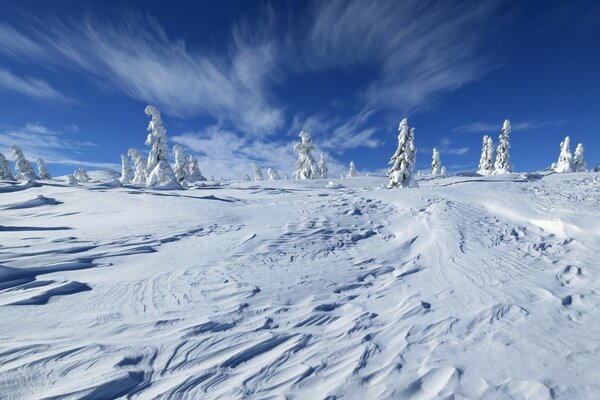 White snow lies in the mountains