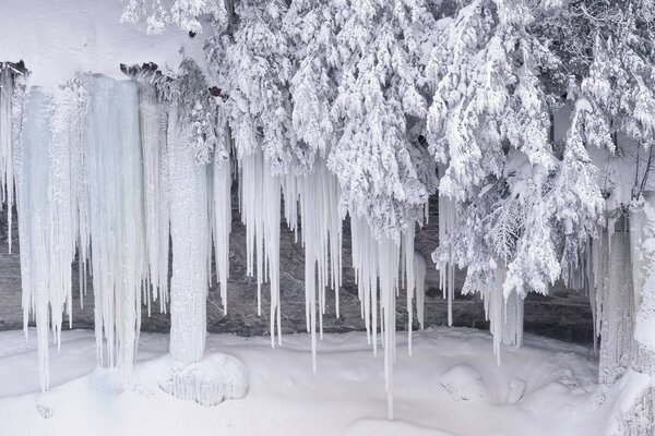 Magische silberne Wintereiszapfen