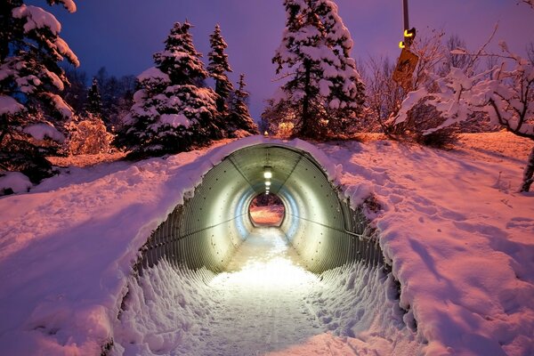 Śnieg w tunelu w zimowym lesie