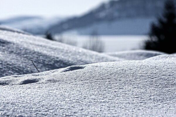 Hielo. Campo de invierno. Naturaleza