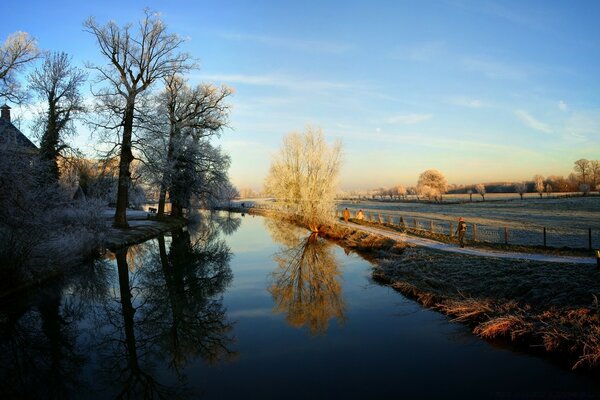 Trees in the shade and in the sun reflected in the river