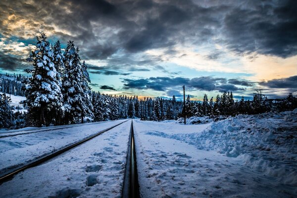 Snow-covered forest and railway tracks