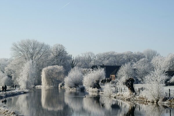 Winterurlaub. Winterhof. Park