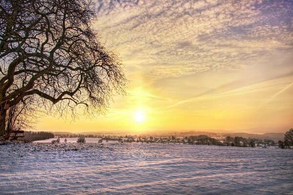 Lever du soleil sur le champ d hiver