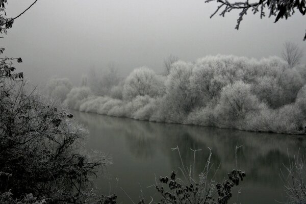 Winter forest with a lake in the fog