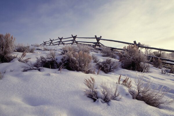 Krsota in small things. Winter photography