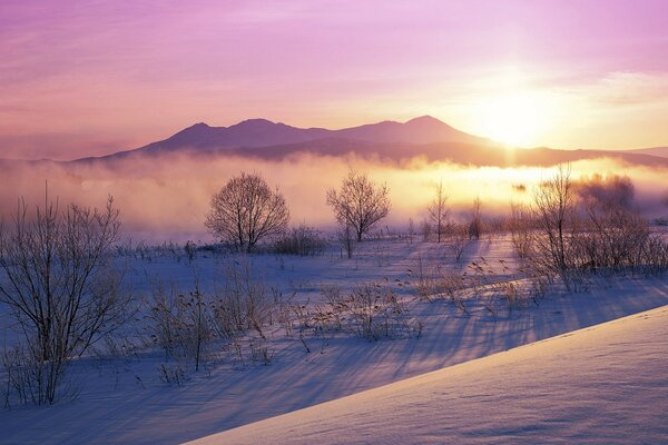 Alba nelle distese invernali della natura