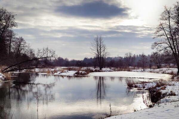 A melted pond in spring nature