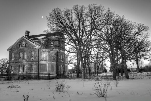 Monochrome photo. House in winter