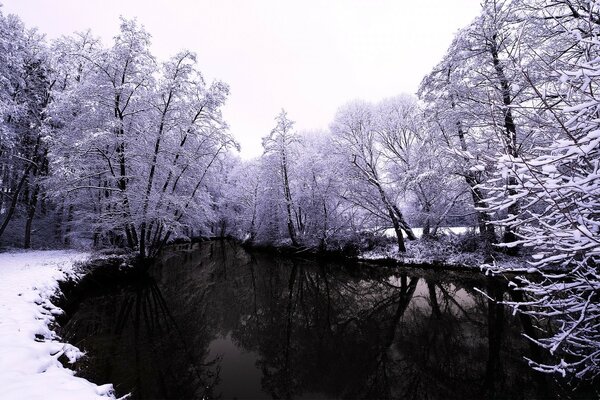 Lago de invierno. Agua. Parque