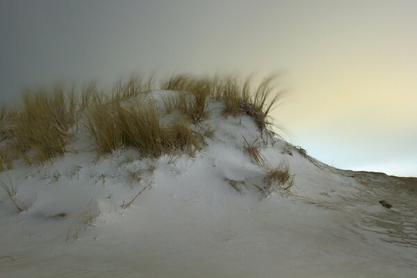 雾中有草的白雪复盖的小山