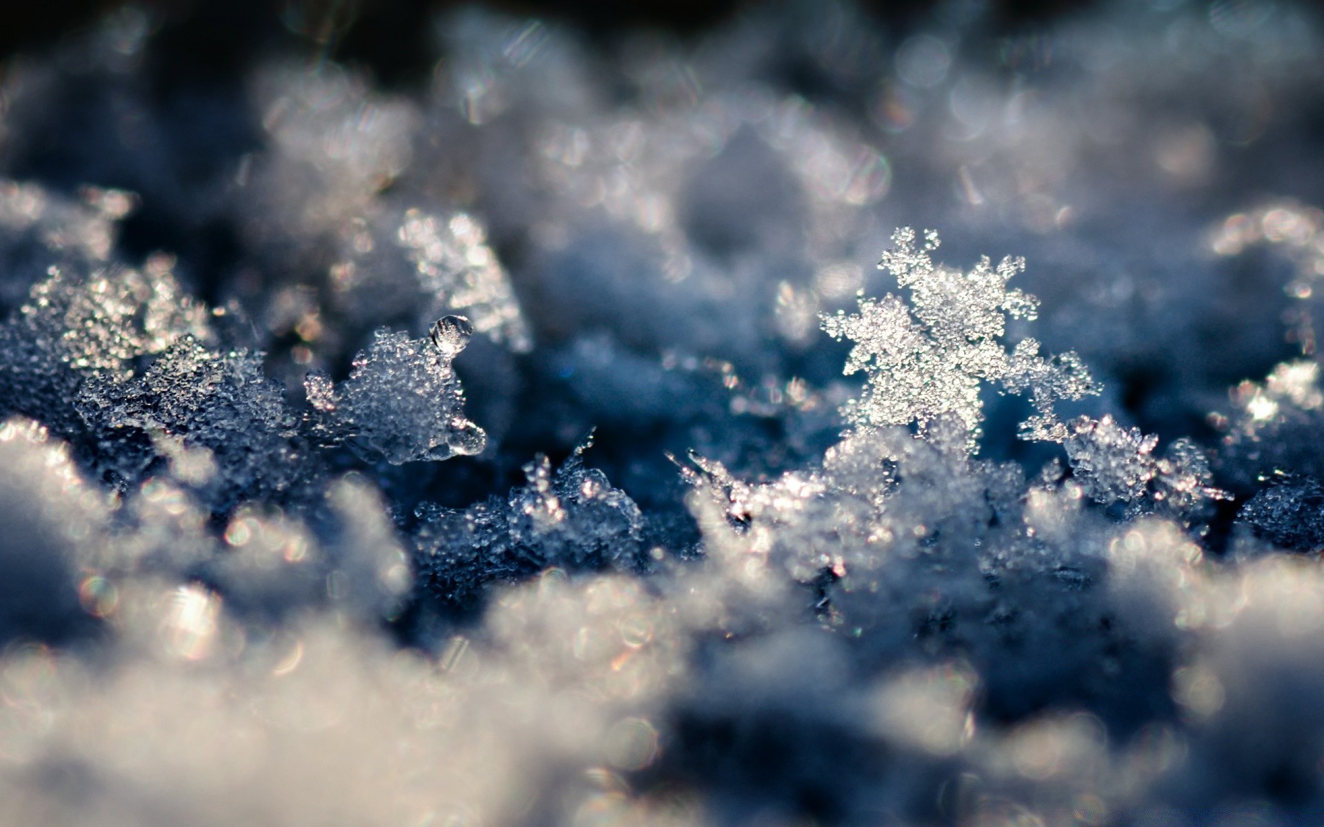 inverno neve geada natureza ao ar livre gelo frio árvore