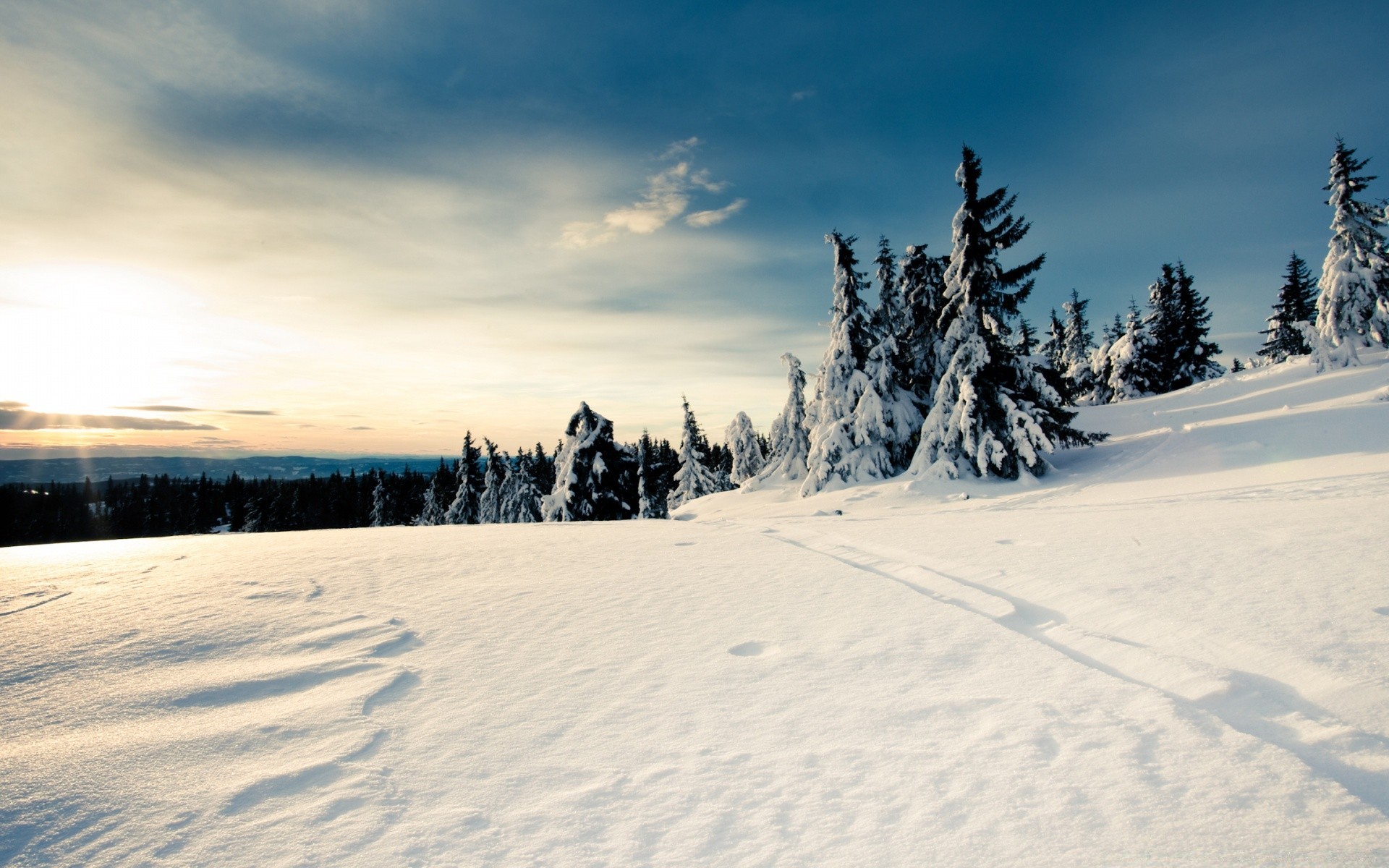 invierno nieve frío escarcha congelado paisaje hielo escénico tiempo árbol madera resort montaña temporada buen tiempo pista naturaleza