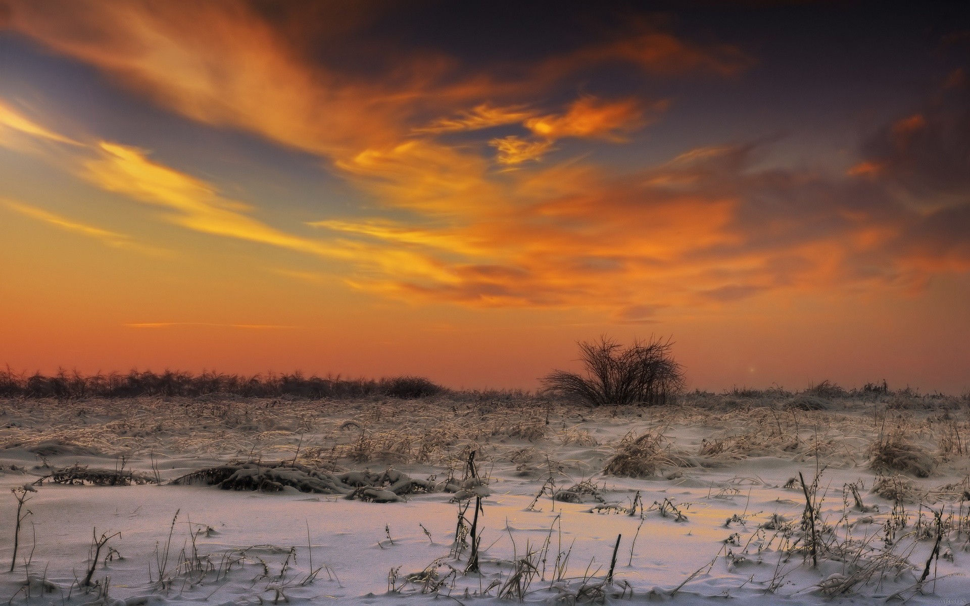 hiver coucher du soleil aube nature paysage soir eau ciel crépuscule à l extérieur beau temps soleil arbre sec météo