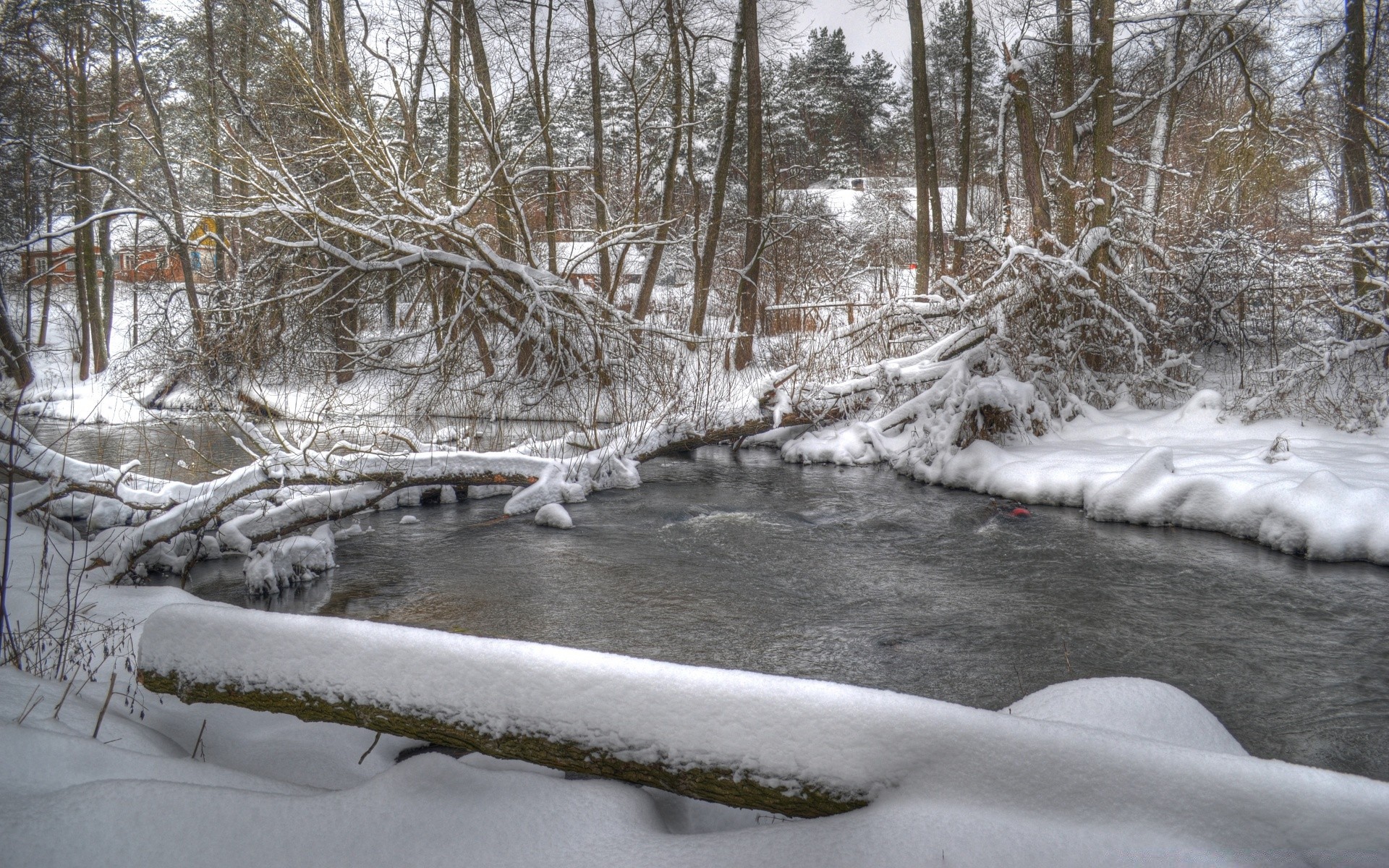 winter snow cold frozen ice frost landscape nature tree wood season river weather water stream icy scenic park