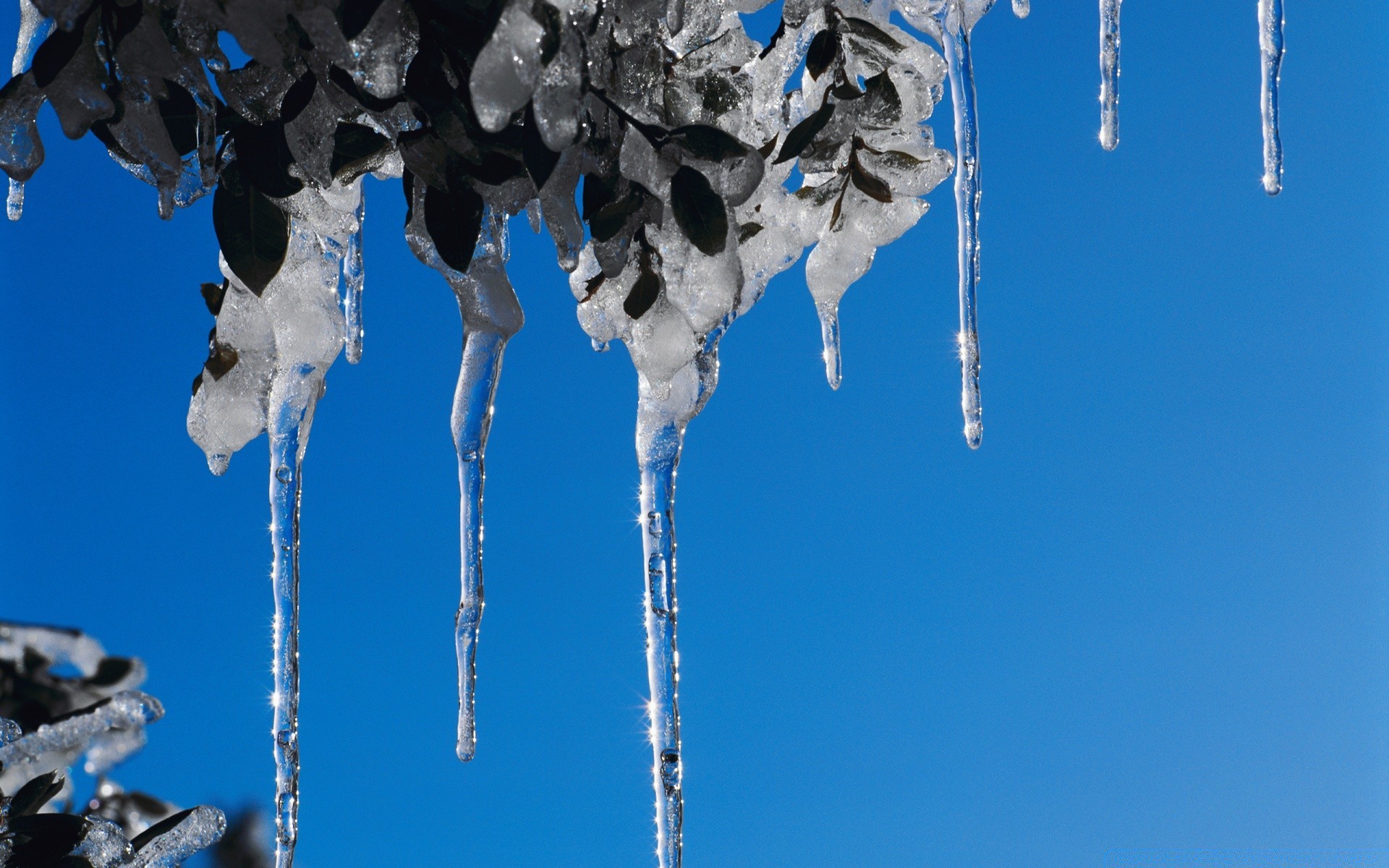 inverno ghiacciolo gelo neve freddo ghiaccio natura congelato all aperto appeso caduta cielo gelido tempo