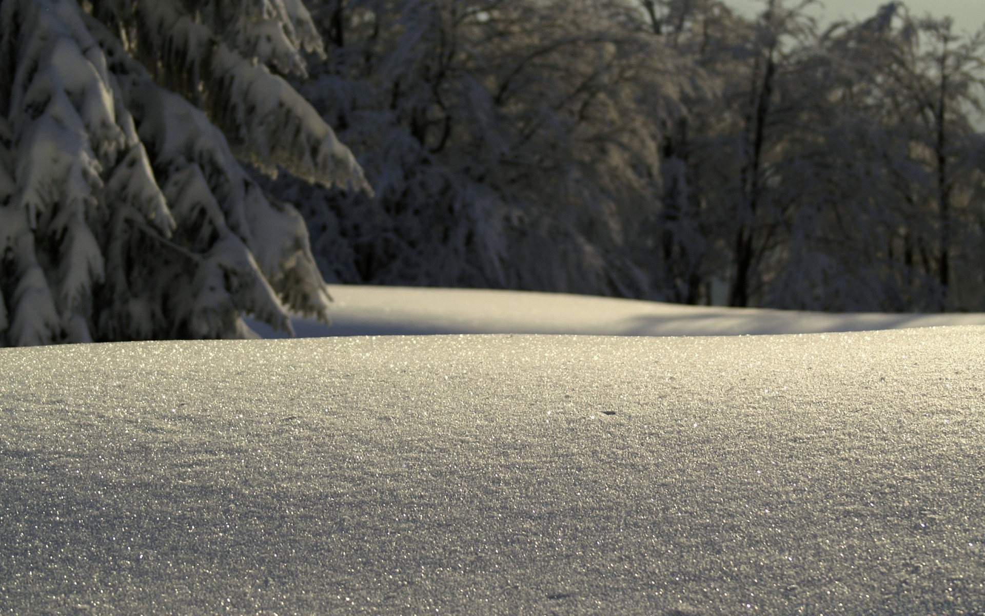 winter landschaft straße schnee reisen guide natur schatten tageslicht baum im freien autobahn wüste eis kalt fahren asphalt