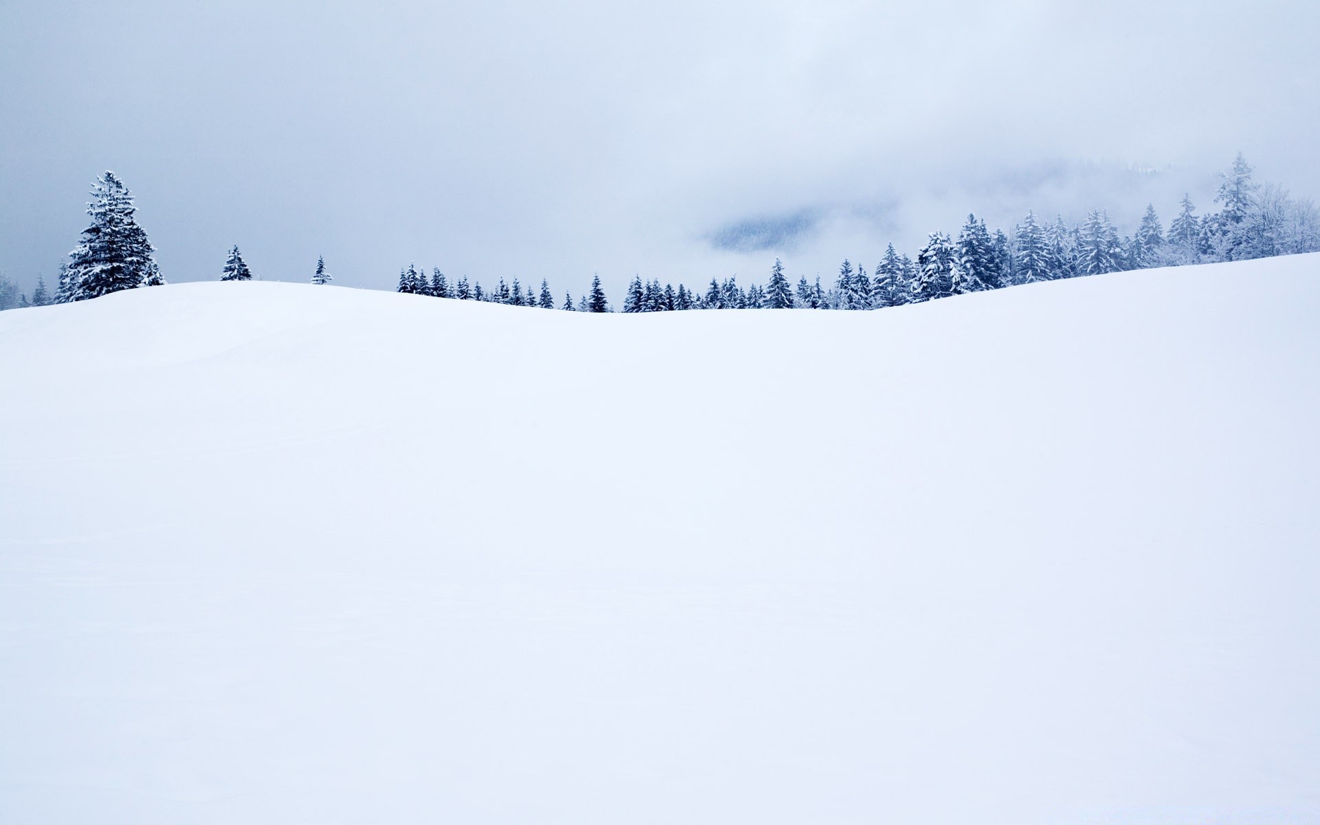 inverno neve frio gelo paisagem congelado geada tempo pista montanha árvore madeira nevasca cênica colina nevoeiro snowboard temporada esquiador céu