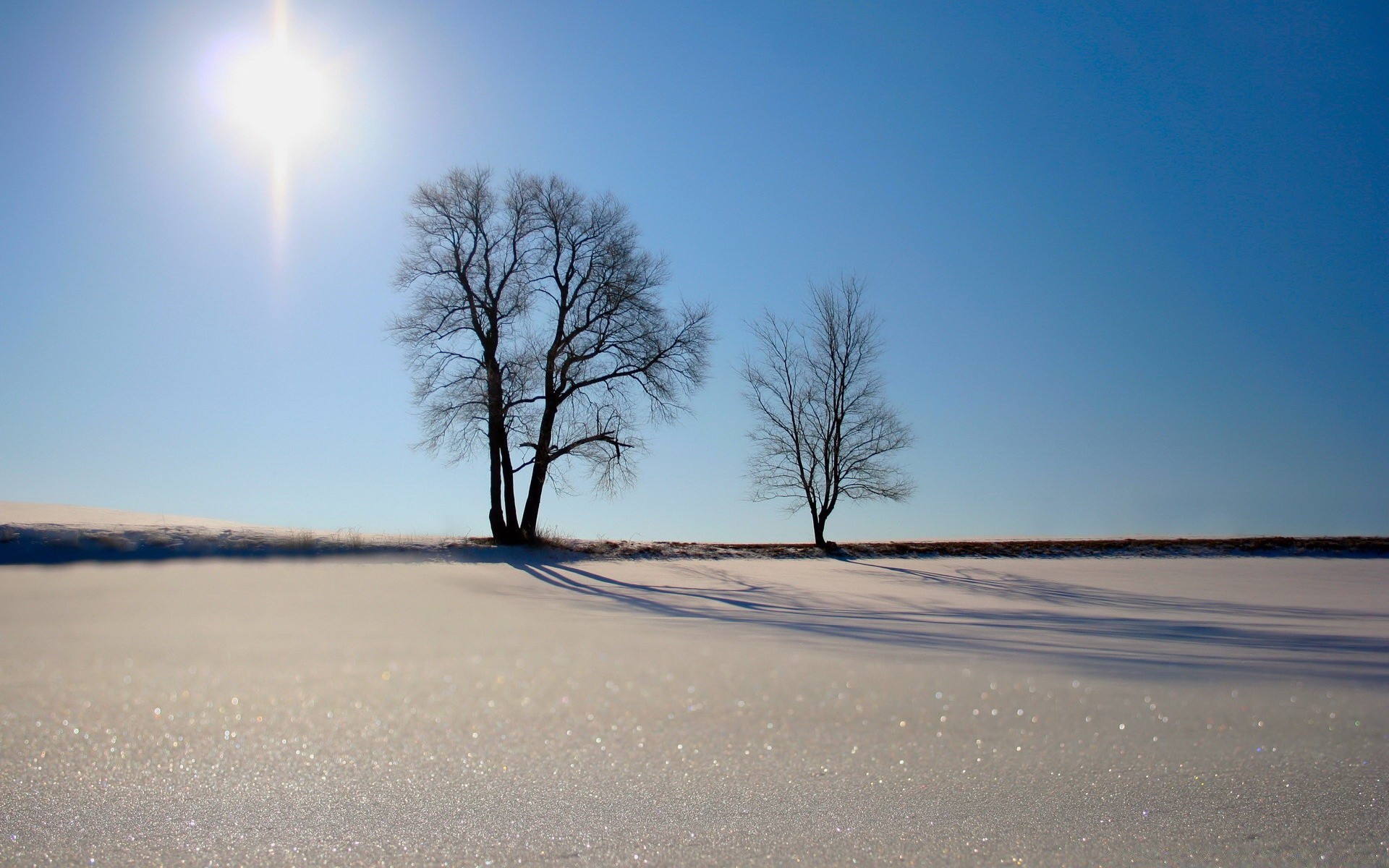 inverno paesaggio sole natura alba cielo spiaggia tramonto bel tempo albero